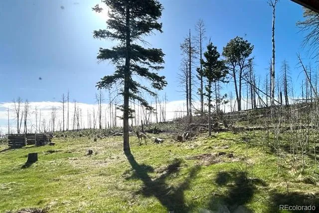 1939 Korlkoff Lane Fort Garland, CO 81133
