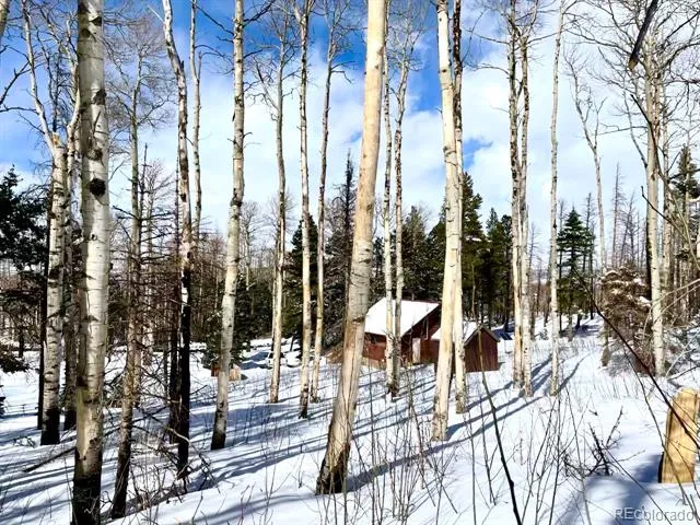 1939 Korlkoff Lane Fort Garland, CO 81133