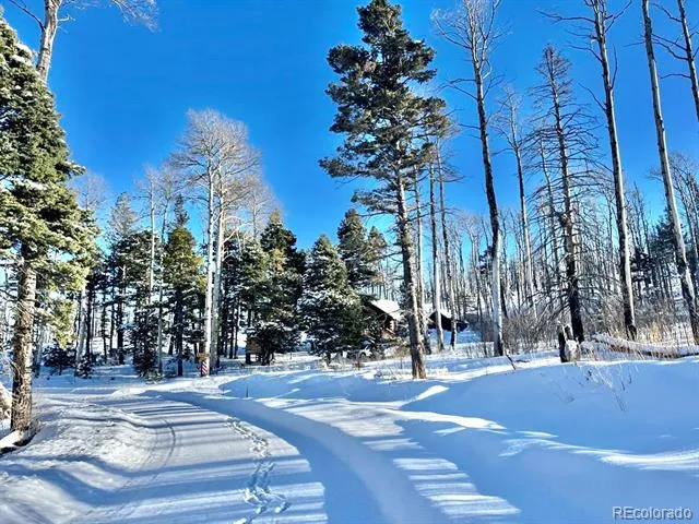 1939 Korlkoff Lane Fort Garland, CO 81133