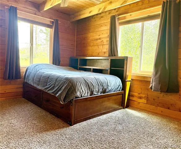 1939 Korlkoff Lane Fort Garland, CO 81133