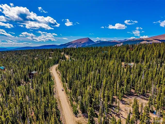 245 El Lobo Lane Fairplay, CO 80440
