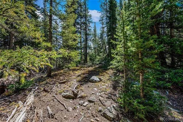 245 El Lobo Lane Fairplay, CO 80440
