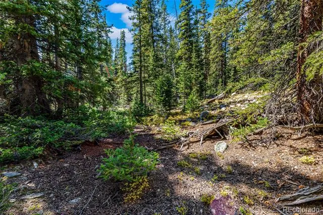 245 El Lobo Lane Fairplay, CO 80440