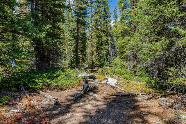 245 El Lobo Lane Fairplay, CO 80440