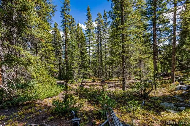 245 El Lobo Lane Fairplay, CO 80440