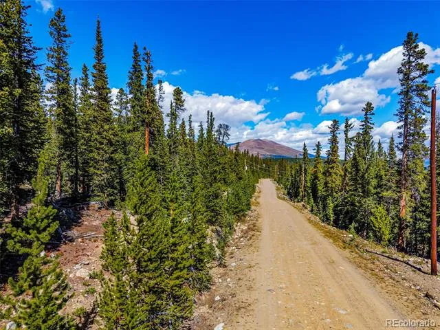 245 El Lobo Lane Fairplay, CO 80440