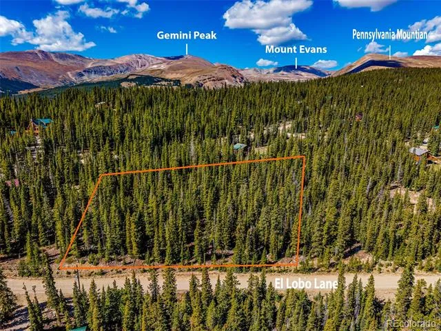 245 El Lobo Lane Fairplay, CO 80440