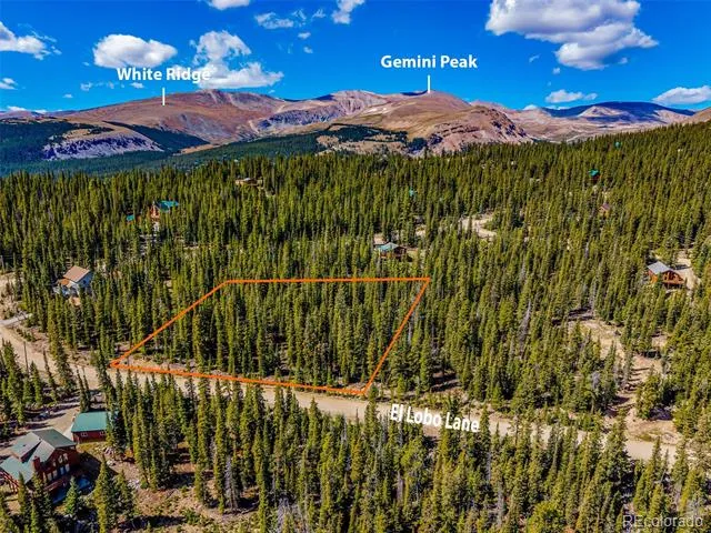 245 El Lobo Lane Fairplay, CO 80440