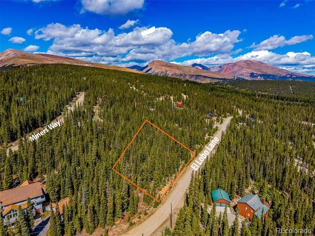 245 El Lobo Lane Fairplay, CO 80440