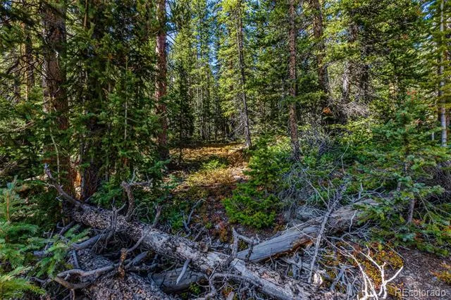 245 El Lobo Lane Fairplay, CO 80440