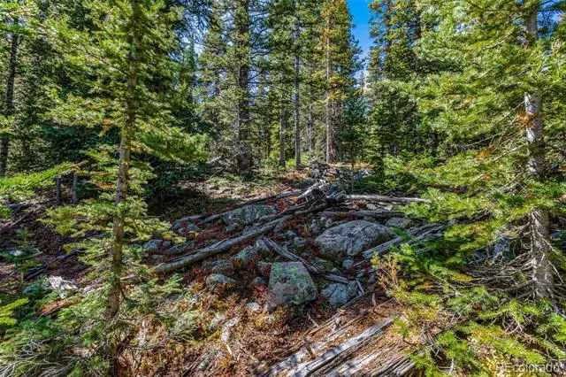 245 El Lobo Lane Fairplay, CO 80440