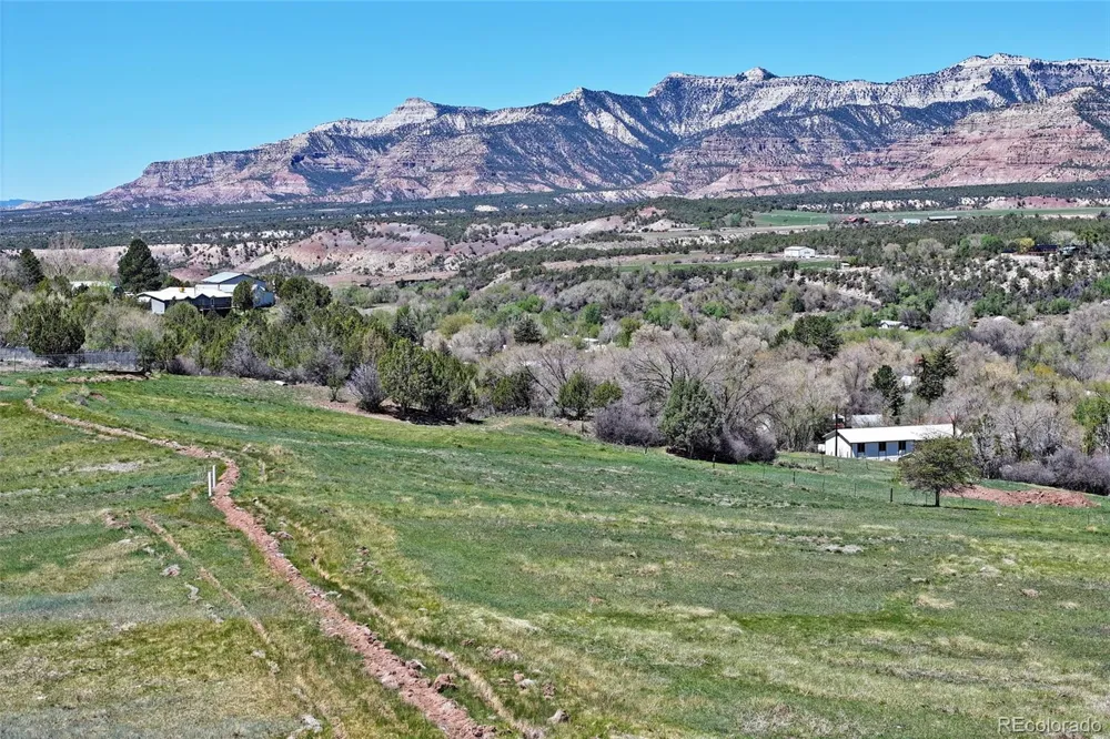 Address Not Shown Collbran, CO 81624