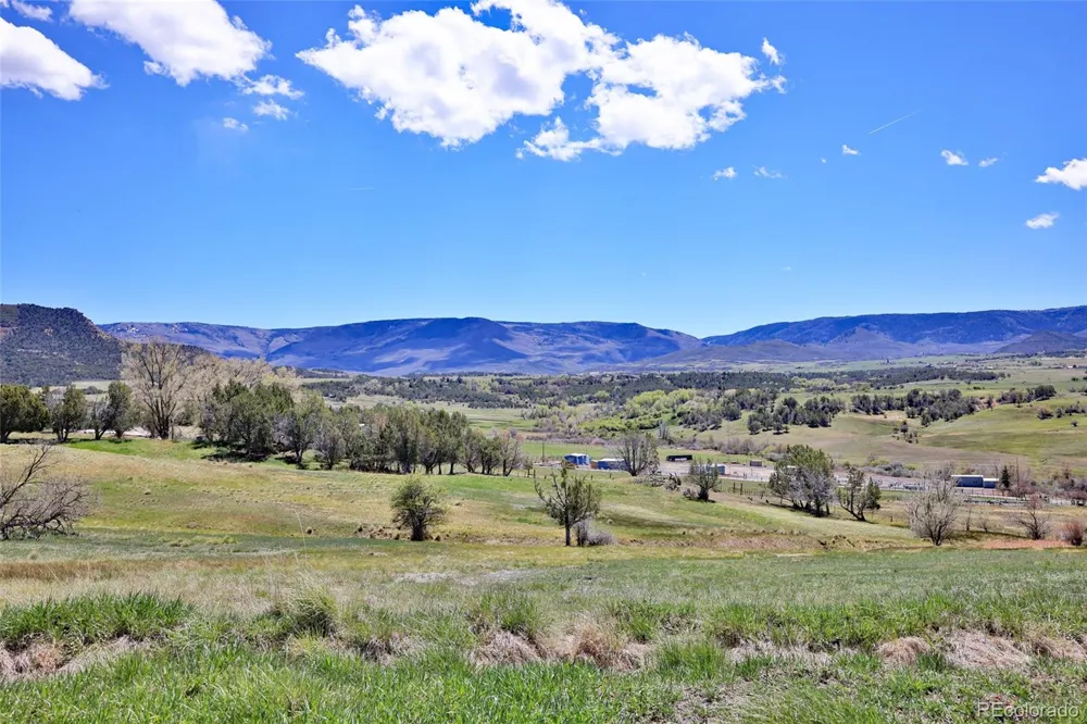 Address Not Shown Collbran, CO 81624