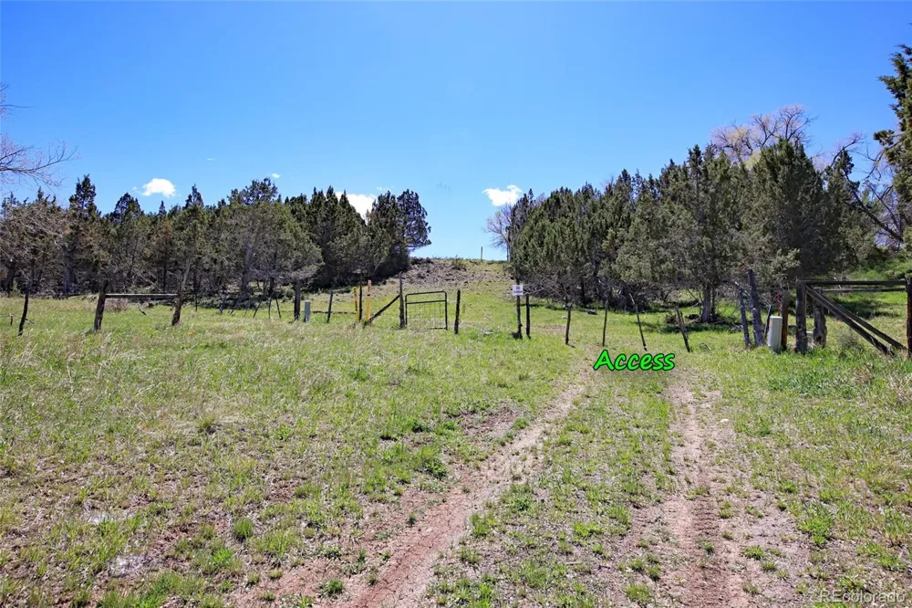Address Not Shown Collbran, CO 81624
