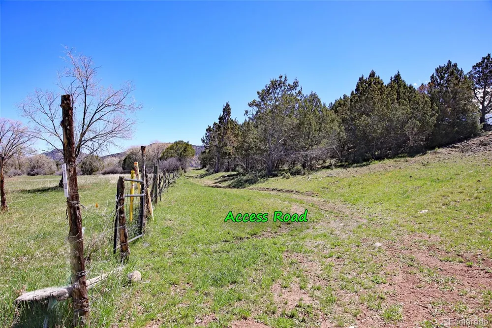 Address Not Shown Collbran, CO 81624