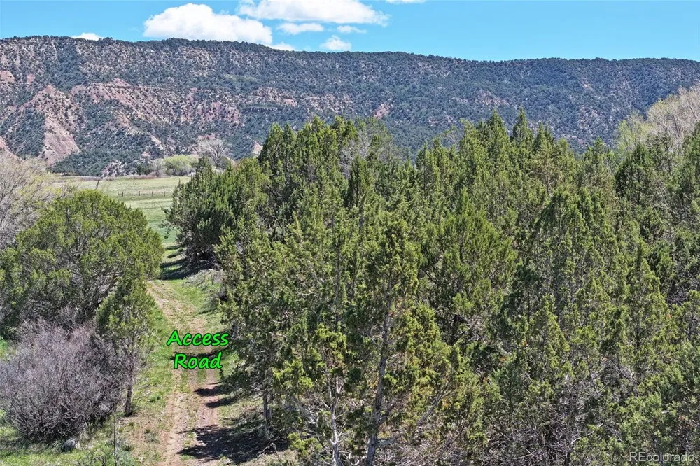 Address Not Shown Collbran, CO 81624