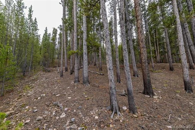486 Moonstone Road Breckenridge, CO 80424