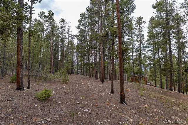 486 Moonstone Road Breckenridge, CO 80424