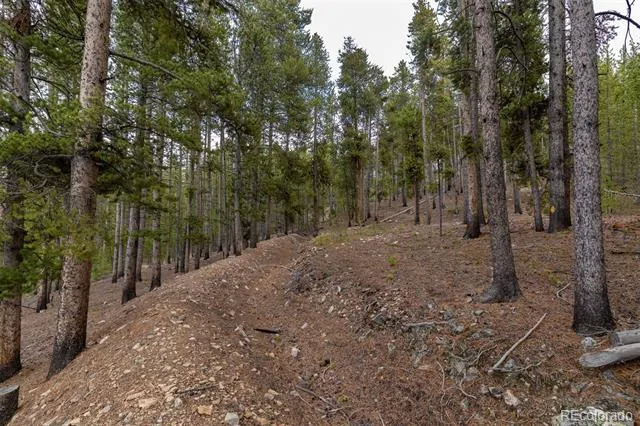 486 Moonstone Road Breckenridge, CO 80424