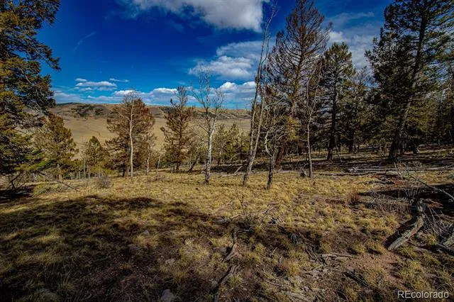 5302 Middle Fork Vista Fairplay, CO 80440