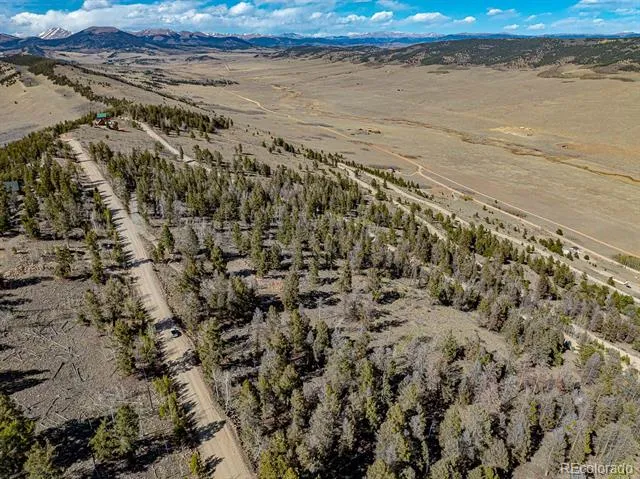 5302 Middle Fork Vista Fairplay, CO 80440