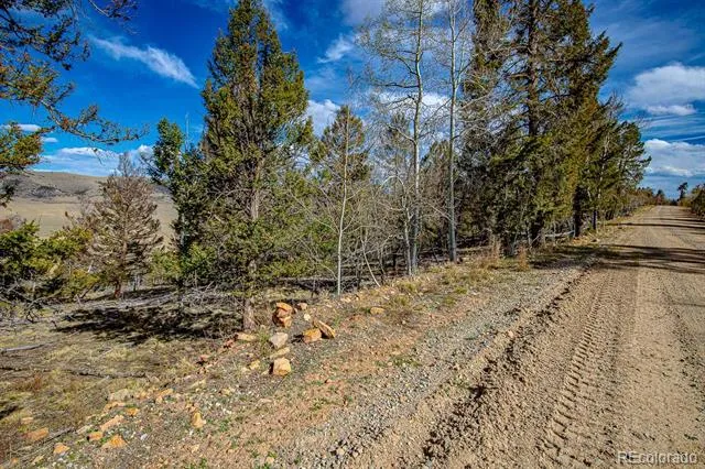 5302 Middle Fork Vista Fairplay, CO 80440