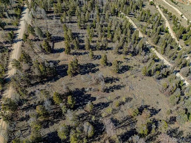5302 Middle Fork Vista Fairplay, CO 80440