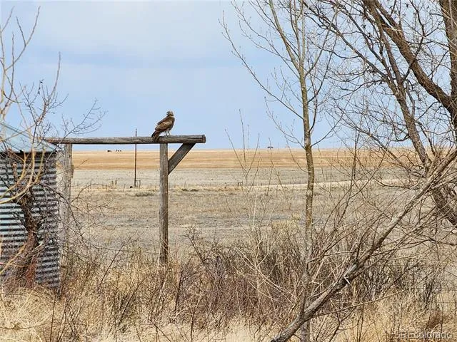 50416 County Road 22 Ramah, CO 80832
