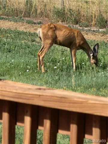 50416 County Road 22 Ramah, CO 80832
