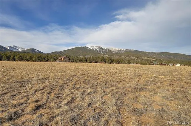 31203 Northwoods Circle Buena Vista, CO 81211