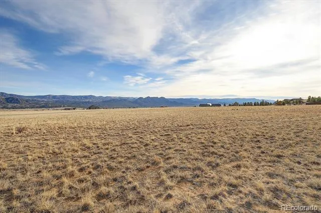 31203 Northwoods Circle Buena Vista, CO 81211