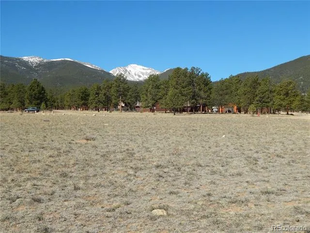 31203 Northwoods Circle Buena Vista, CO 81211