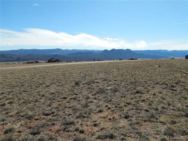 31203 Northwoods Circle Buena Vista, CO 81211