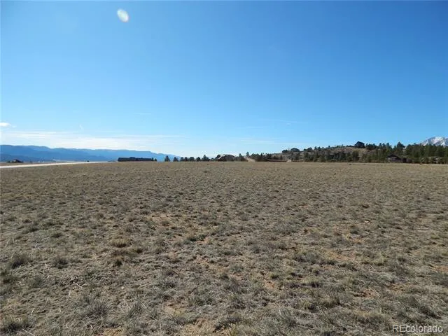 31203 Northwoods Circle Buena Vista, CO 81211
