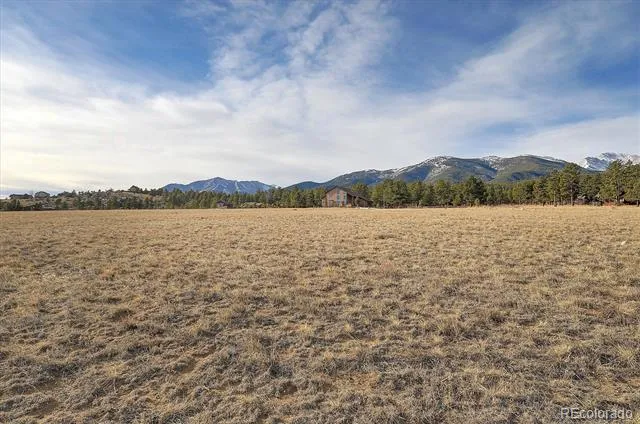31203 Northwoods Circle Buena Vista, CO 81211