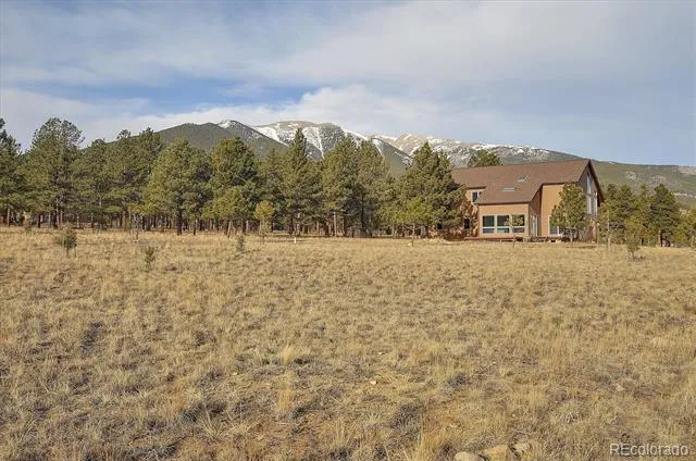 31203 Northwoods Circle Buena Vista, CO 81211