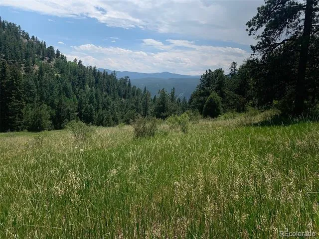 00 Douglas Mtn Drive Golden, CO 80403