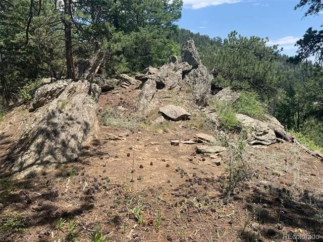 00 Douglas Mtn Drive Golden, CO 80403