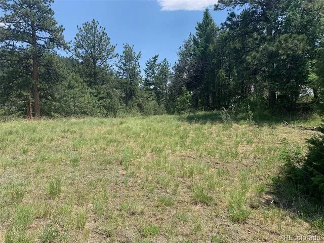 00 Douglas Mtn Drive Golden, CO 80403