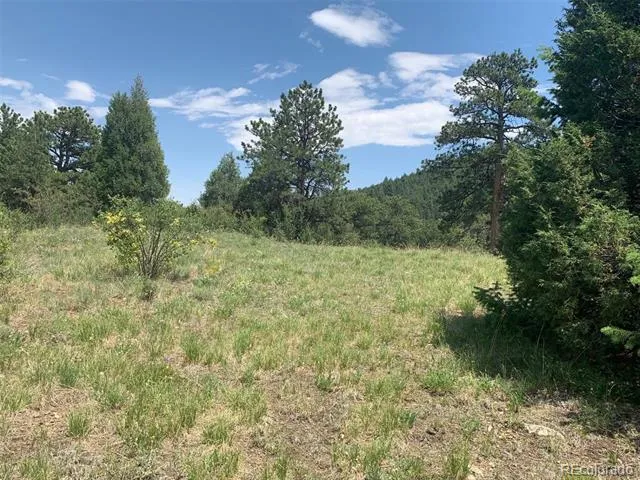 00 Douglas Mtn Drive Golden, CO 80403