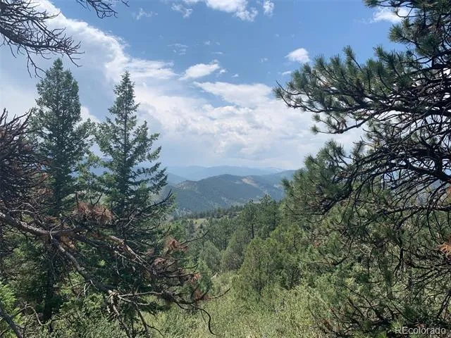 00 Douglas Mtn Drive Golden, CO 80403