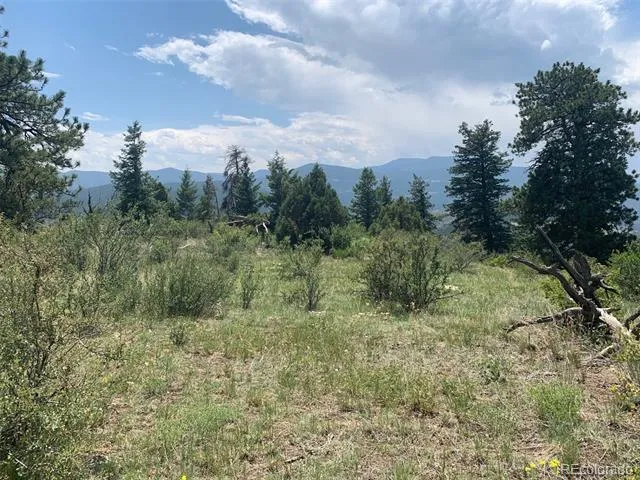 00 Douglas Mtn Drive Golden, CO 80403
