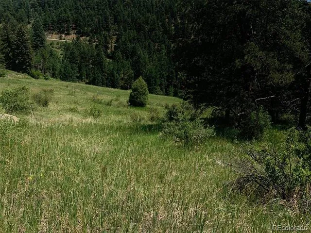 00 Douglas Mtn Drive Golden, CO 80403
