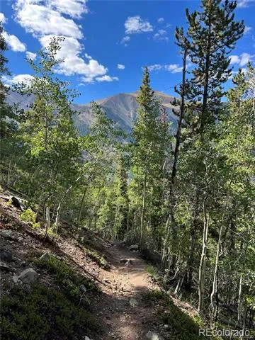 19518 Dauntless & Dauntless Leadville, CO 81211