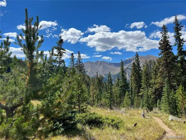 19518 Dauntless & Dauntless Leadville, CO 81211