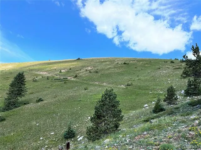 19518 Dauntless & Dauntless Leadville, CO 81211