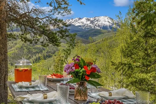 2244 Johnson Road Silverthorne, CO 80498