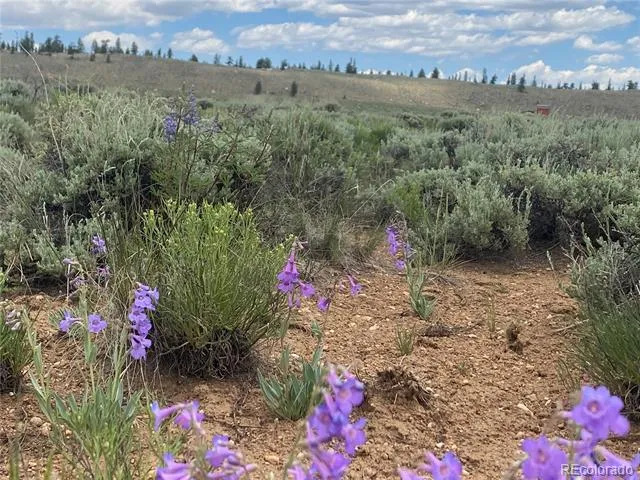 Decagon Loop, Parcel 12 Twin Lakes, CO 81251