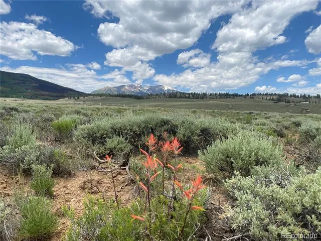 Decagon Loop, Parcel 12 Twin Lakes, CO 81251