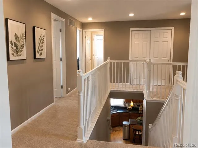 899 Tarpan Place Castle Rock, CO 80104